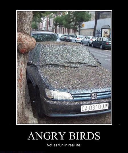Nice-Funny-Angry-Birds-Spicy-Profile-Pics-WhatsApp-DP