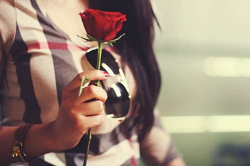 Romantic-Lovely-Rose-Profile-Pic-WhatsApp-DP