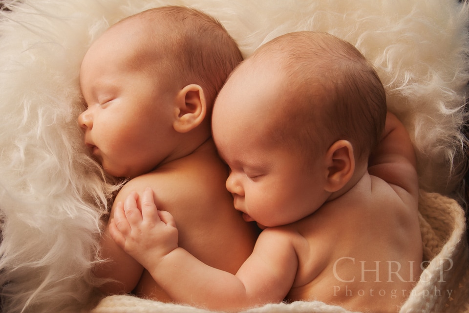 Twins Baby Pictures and Cute Babies Images by Chrisp Photography