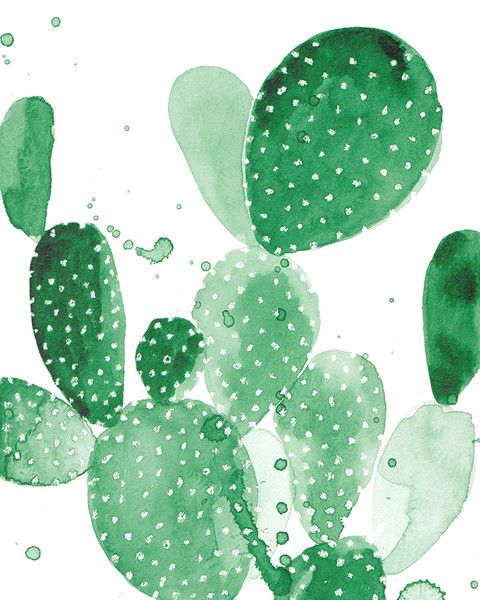 Cactus Wallpaper, Background Image iPhone 5