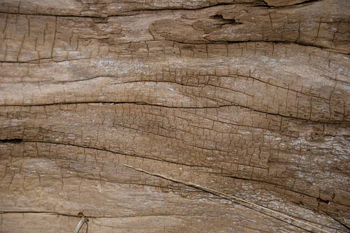 Beach-wood-textures-high-quality-Wooden-Texture-Background-Pattern