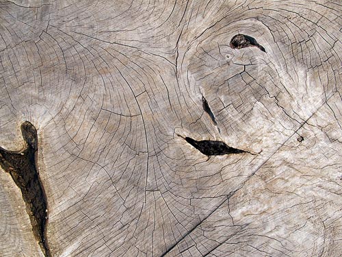 Weathered-Wood-Textures-Wooden-Textures-High-Quality-Background-Patterns