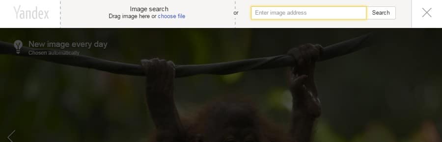 Yandex Reverse Image Search - Search for Images on the Internet