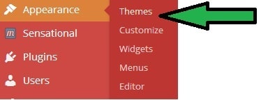 Install A WordPress Theme