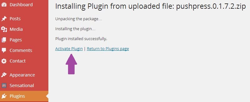 Activate WordPress Plugin After Installation