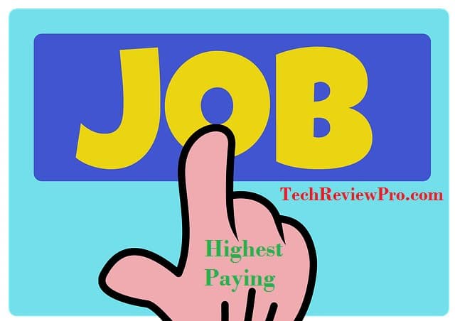 Top Highest Paying Jobs in America Search