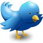 Twitter Tips and Tricks for Launching Business on Twitter