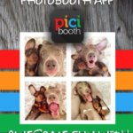 Best Photo Booth Apps - Top 7 Best Photo Booth Apps for iPhone and iPad Users