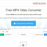 DVDVideoSoft MP4 Converter - Best Video to MP4 Converters to Convert Online Videos to MP4